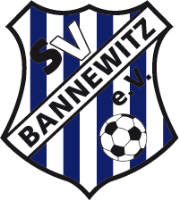 SV Bannewitz 1886 e.V. I