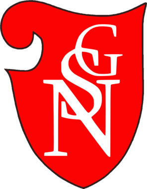 SG Neukirchen/Erzgebirge 1911 e.V. I